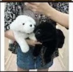 Image of The Ultimate Guide to Choosing the Perfect Panda Gift for Girlfriend/Boyfriend: From Kawaii Pambu Toys to Luxury Panda Plush for Unforgettable Moments