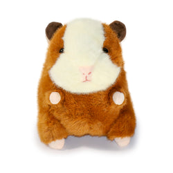 Pambu