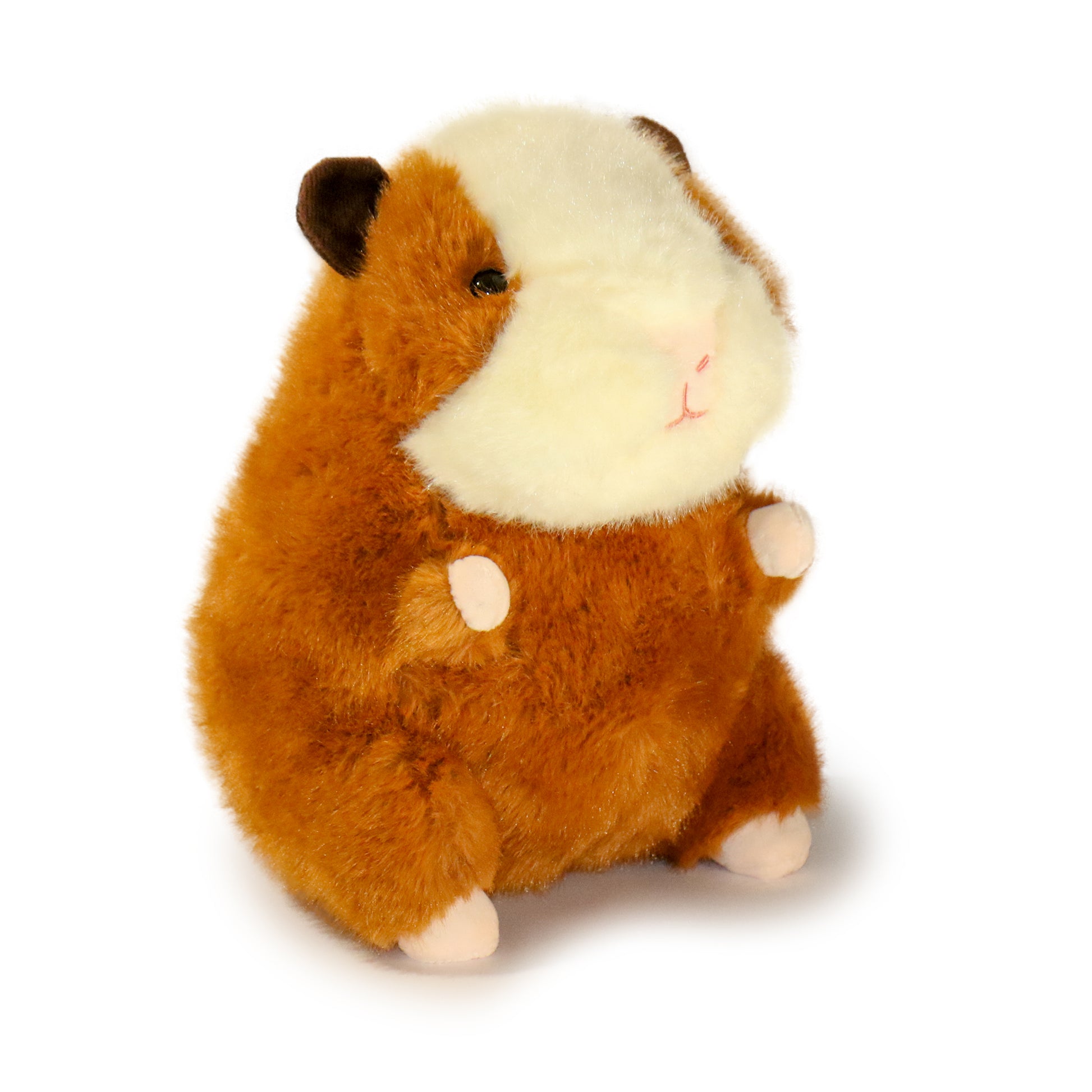 Toffee Guinea Pig