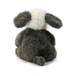 Image of Stormy Dog