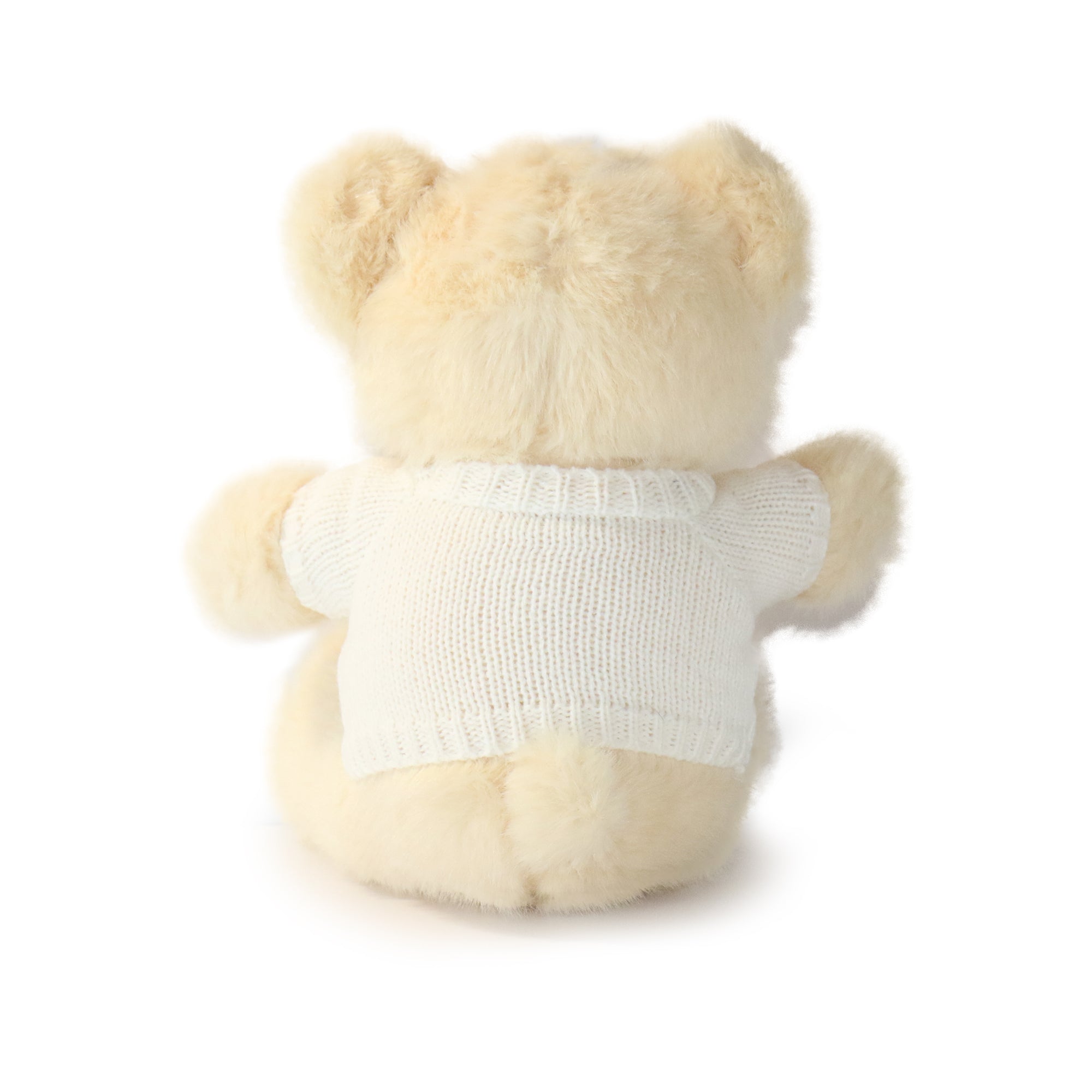 Cozy Sweater Bear