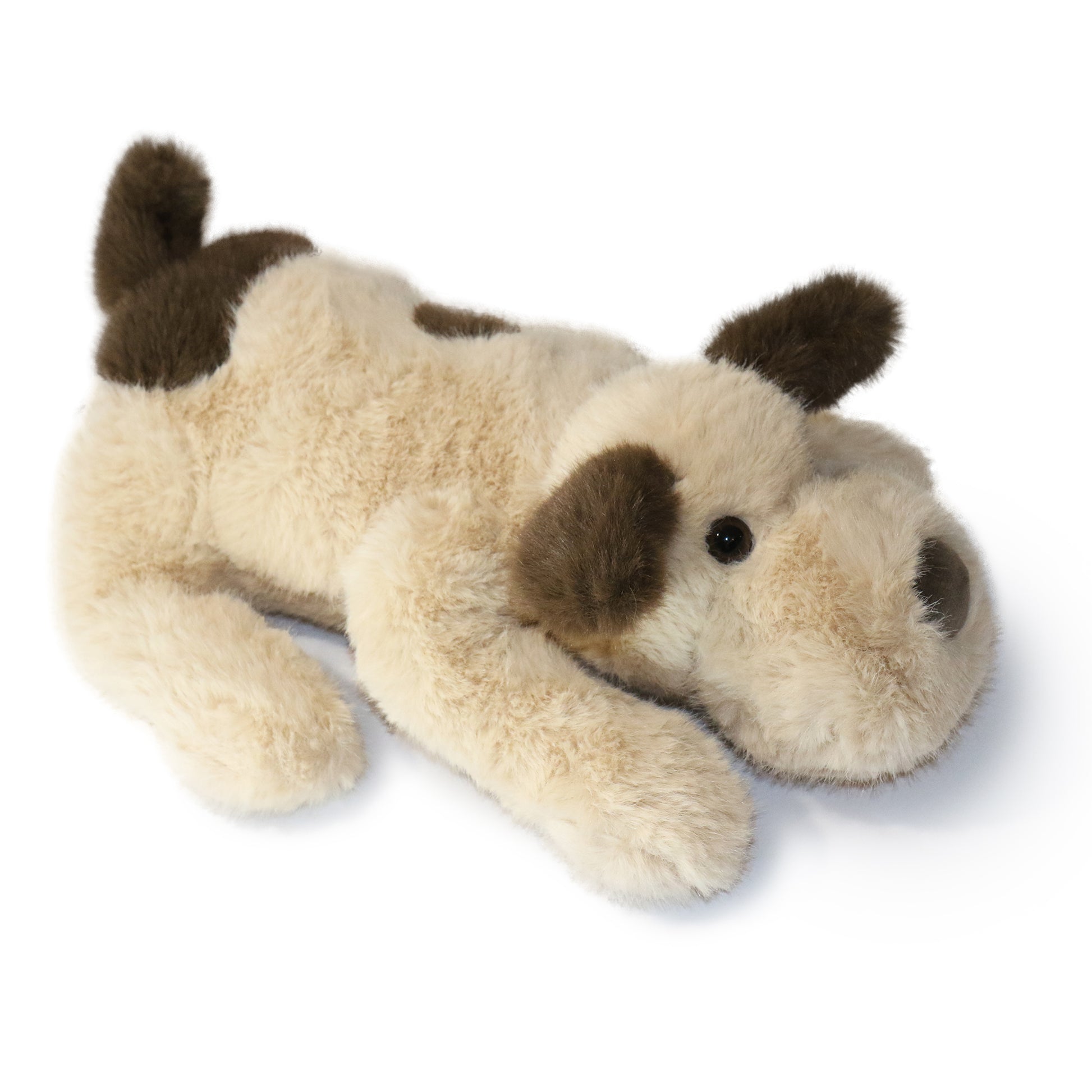 Biscuit Dog