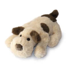 Image of Biscuit Dog