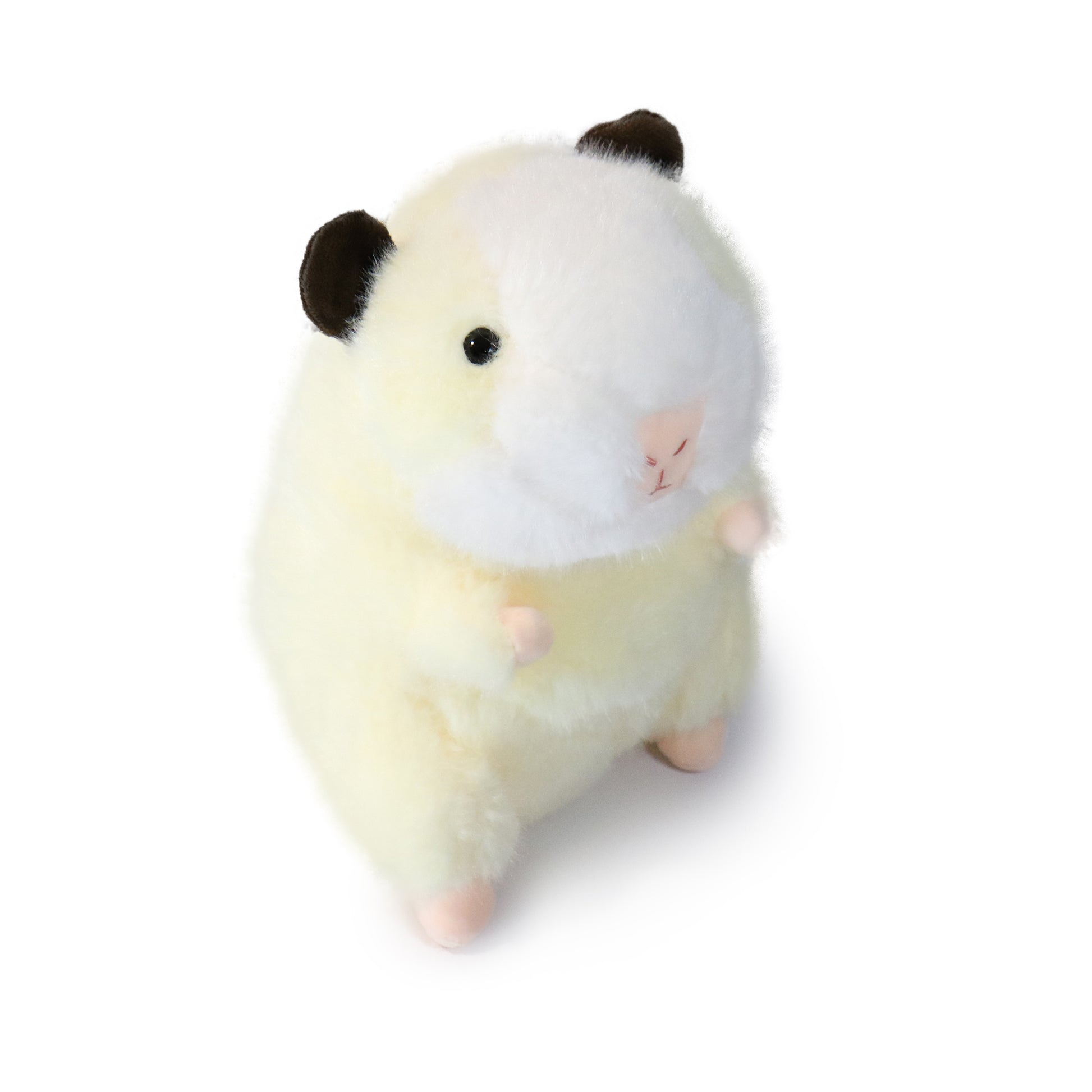 Toffee Guinea Pig