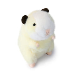 Image of Toffee Guinea Pig