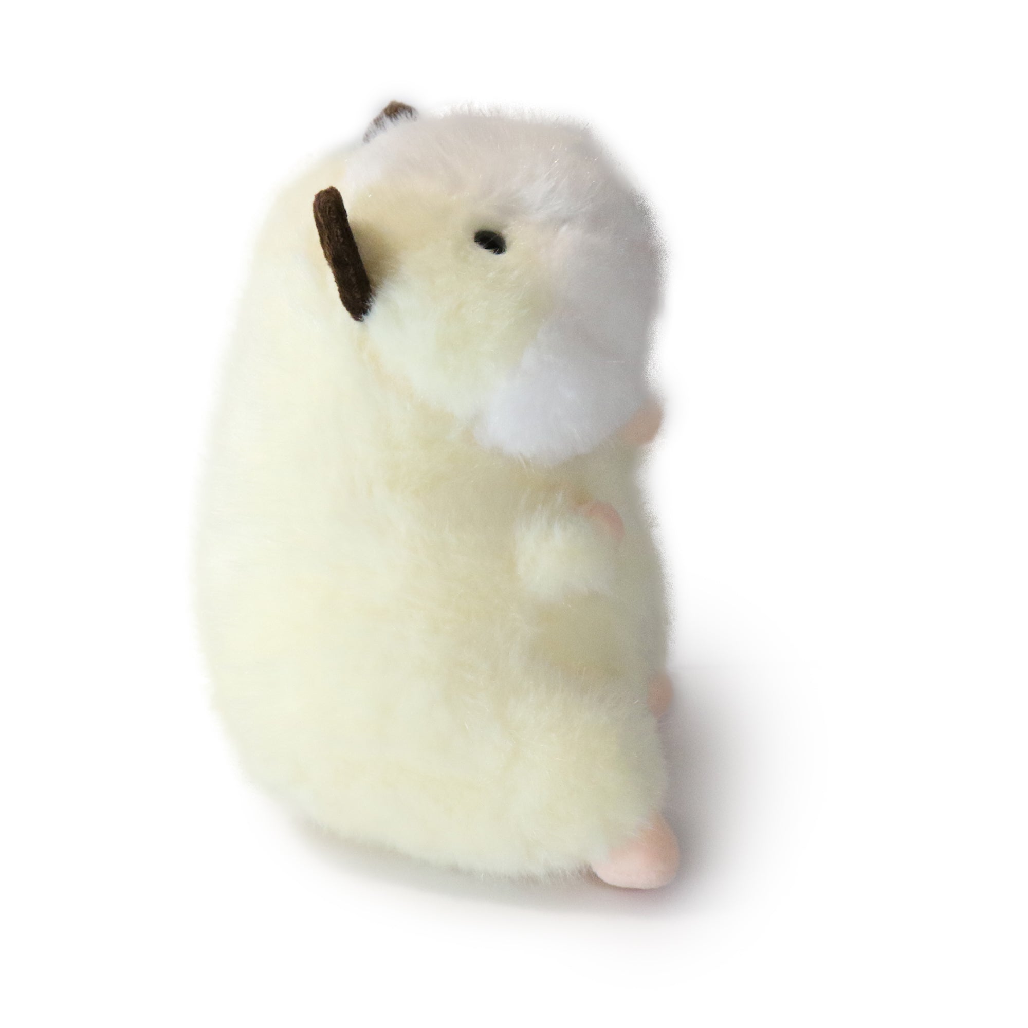 Toffee Guinea Pig