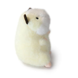 Image of Toffee Guinea Pig