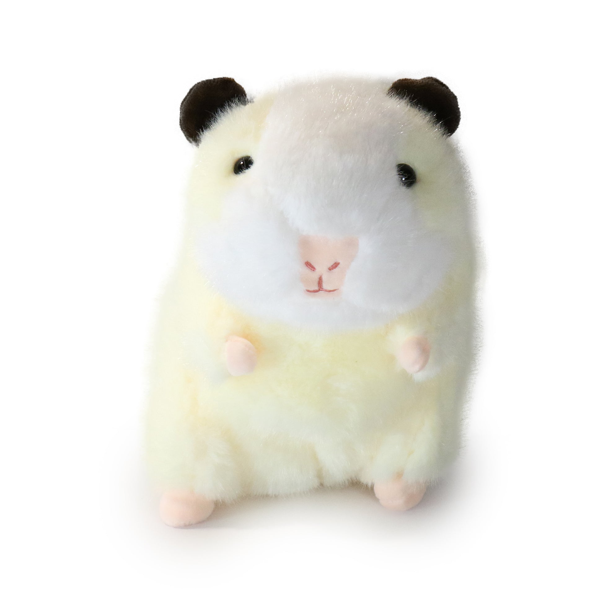 Toffee Guinea Pig