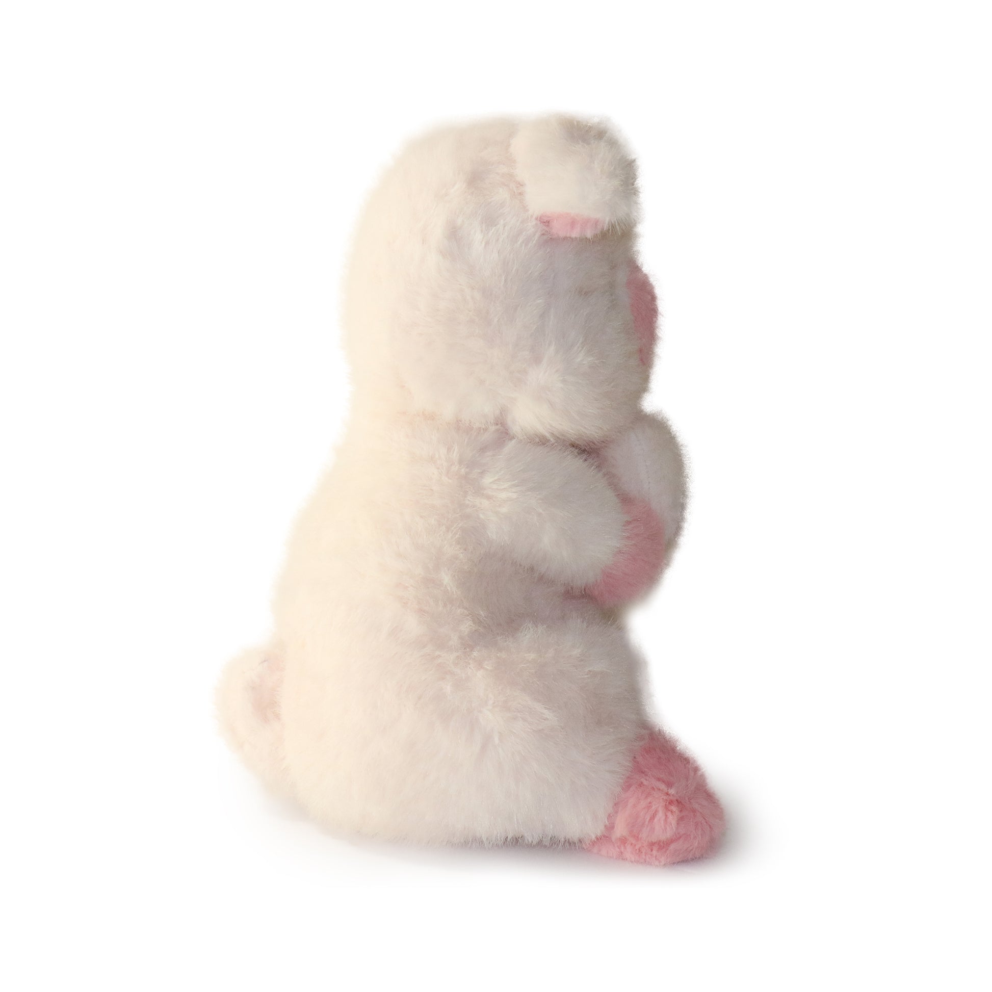 Peaches Pig