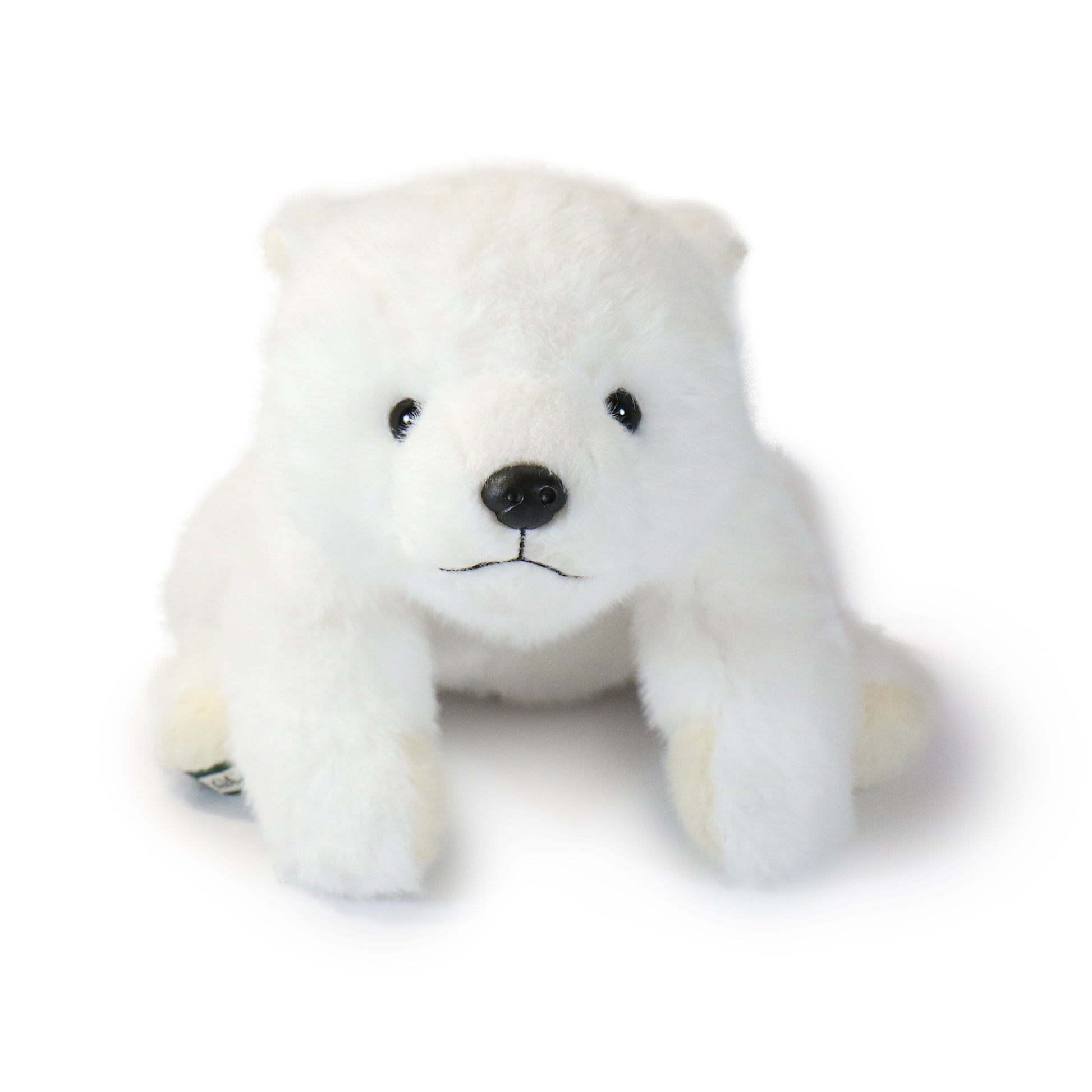 Frosty Bear