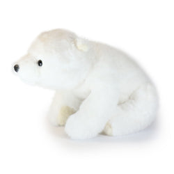 Image of Frosty Bear