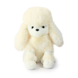 Image of Pawla Poodle