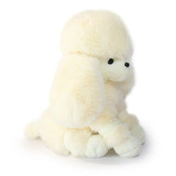 Image of Pawla Poodle