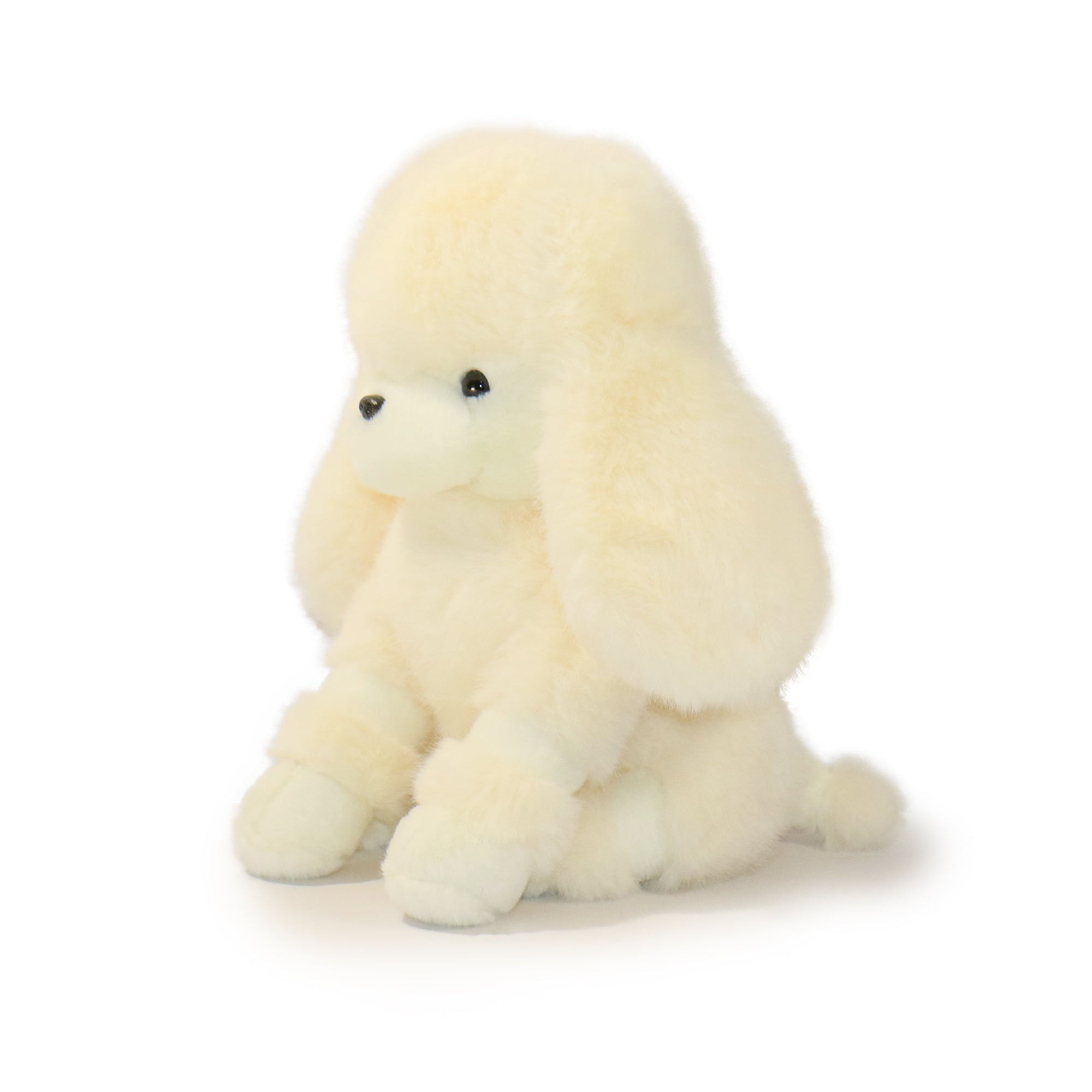 Pawla Poodle