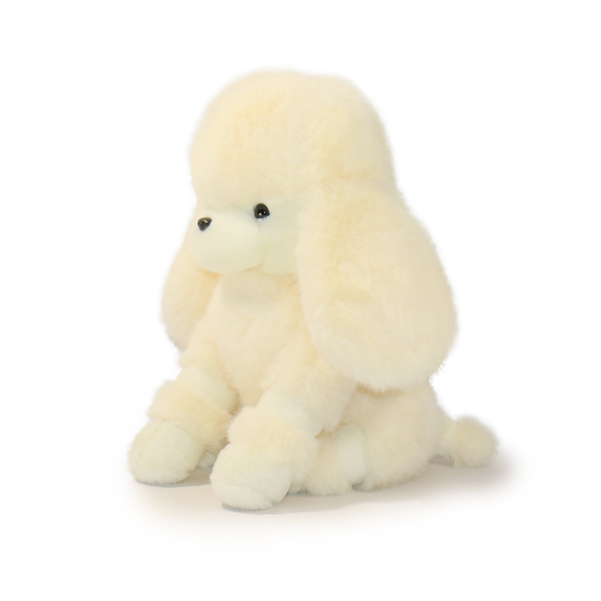 Pawla Poodle
