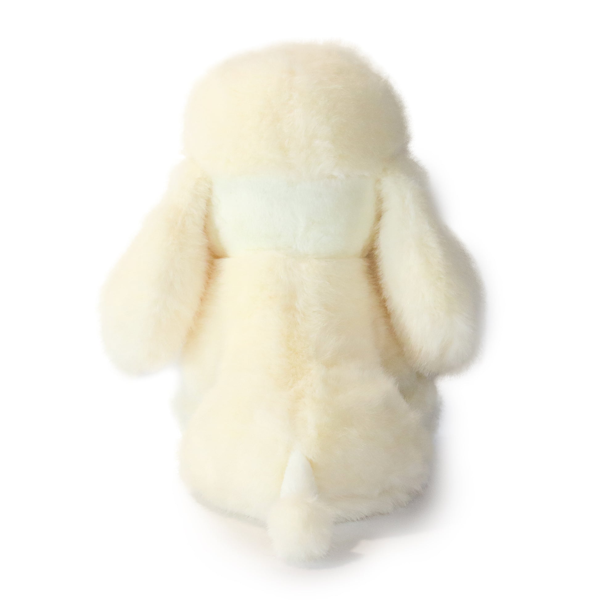 Pawla Poodle