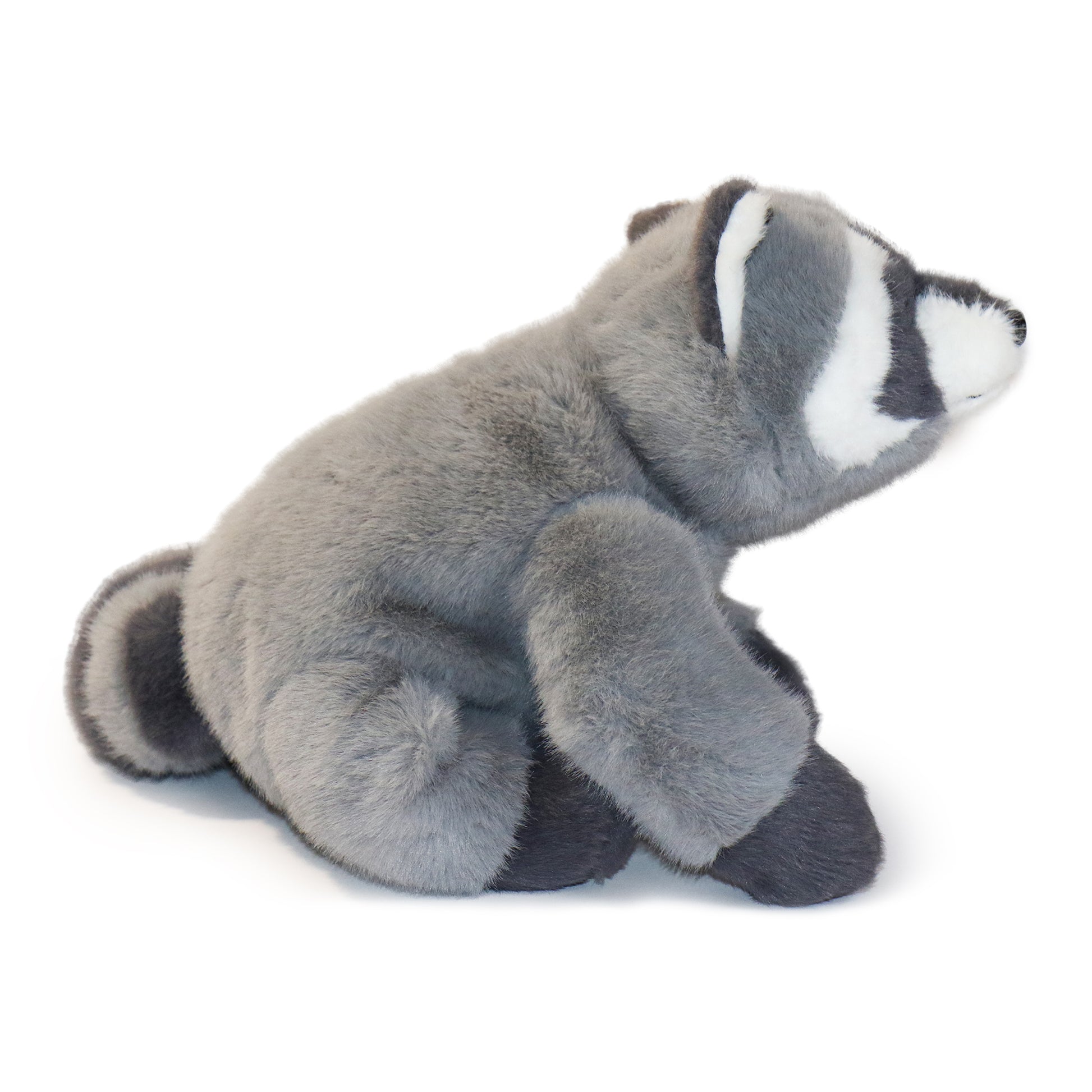 Bandit Raccoon