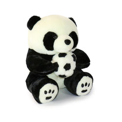 Image of Dash Panda