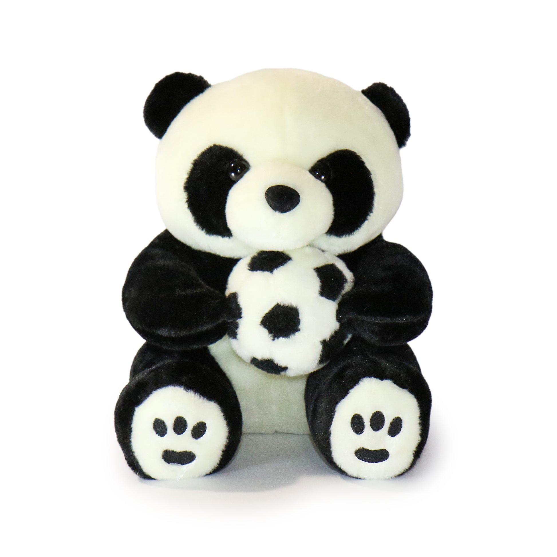 Dash Panda