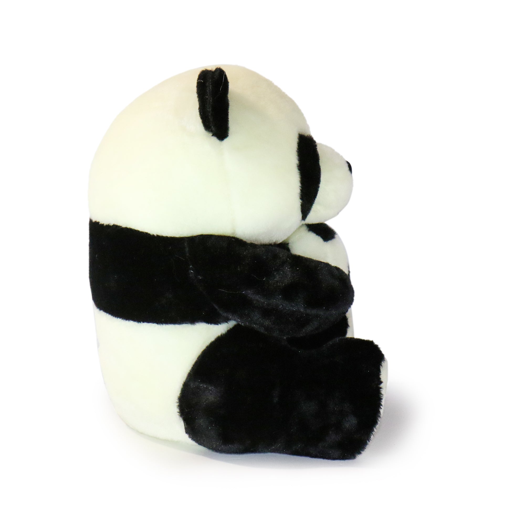 Dash Panda