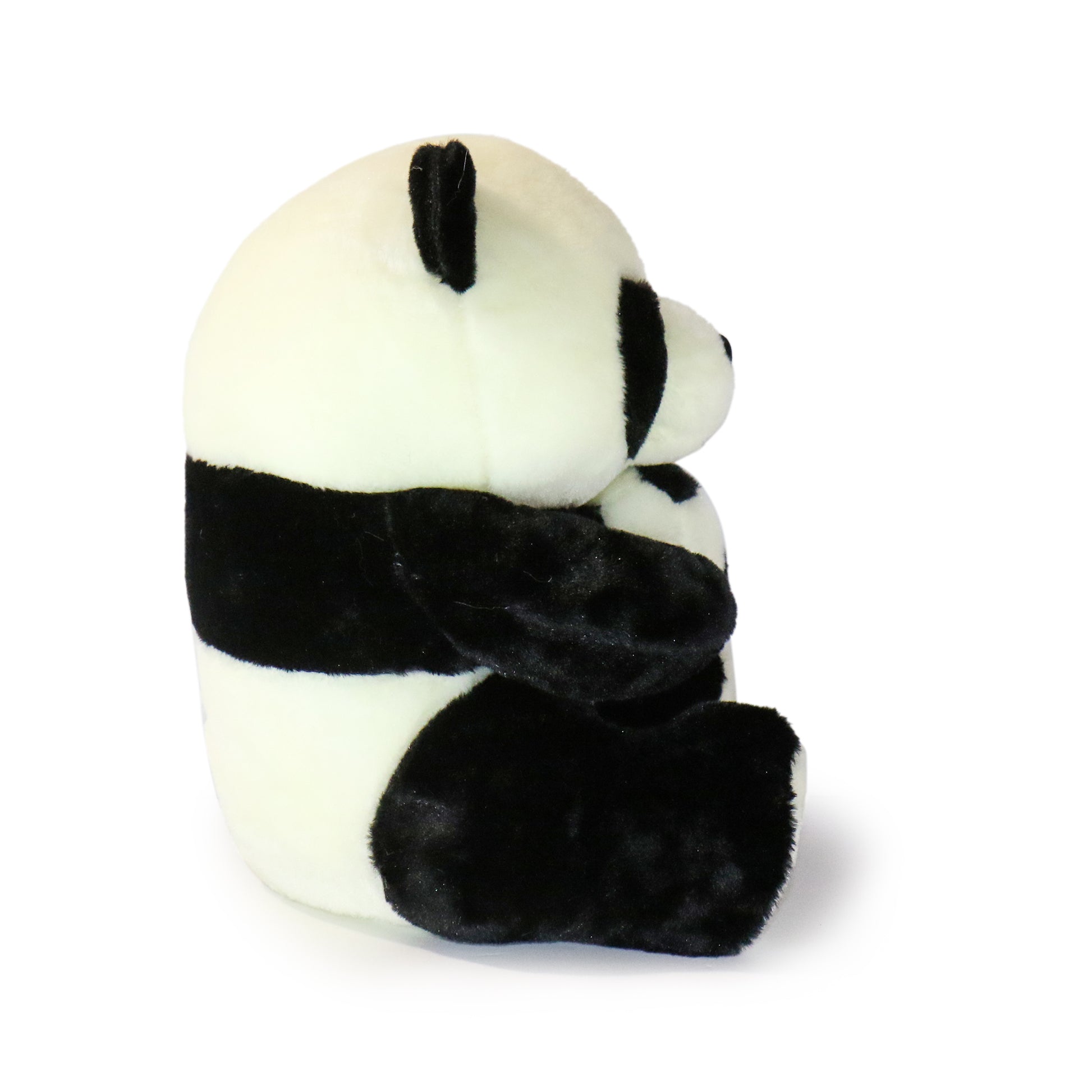 Dash Panda