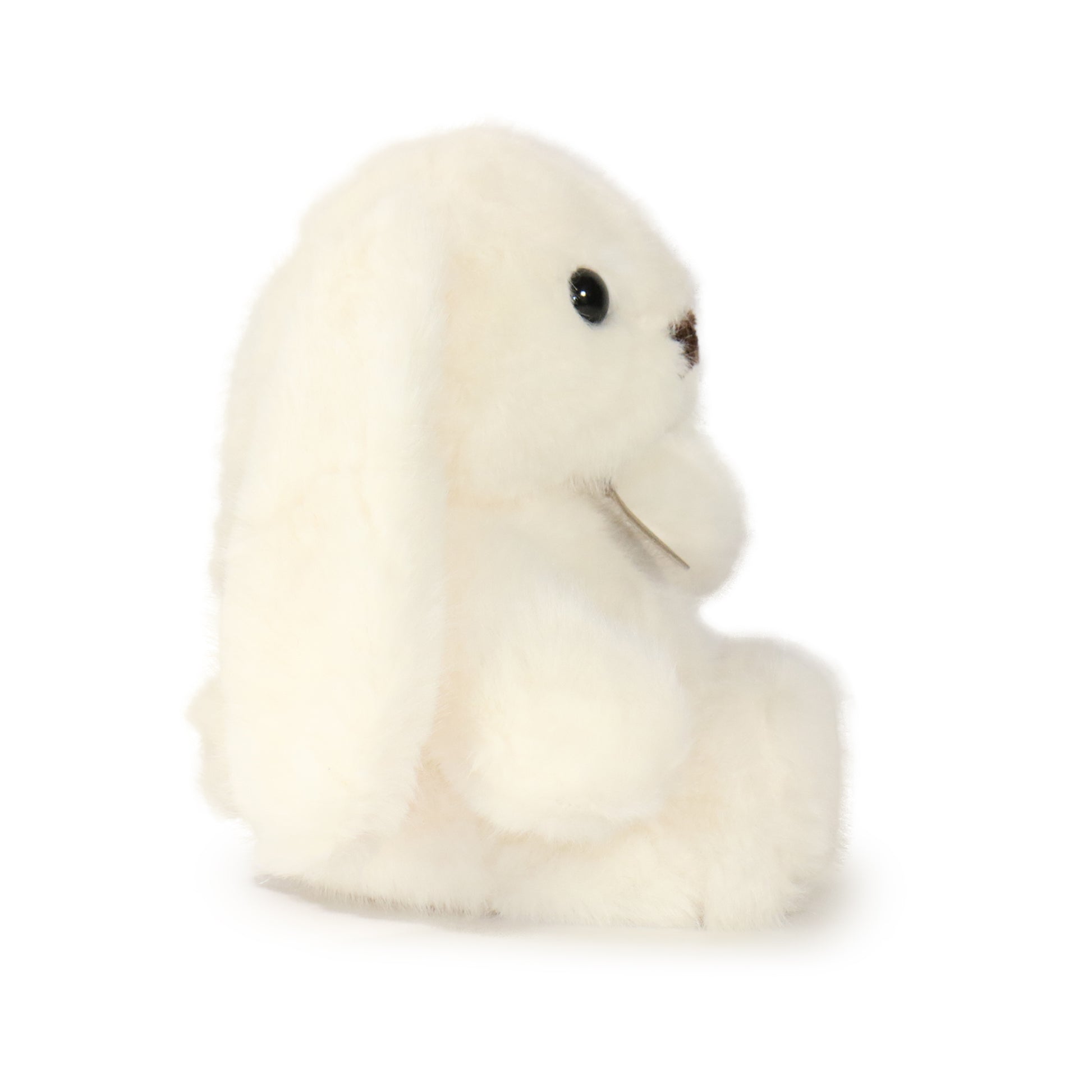 Nivie Bunny