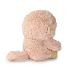 Image of Bongo Monkey