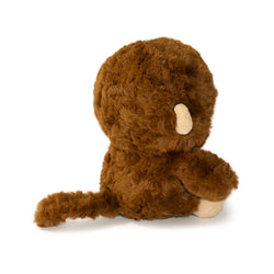 Image of Bongo Monkey