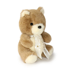 Image of Bear