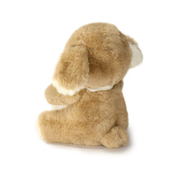 Image of Just For You Dog