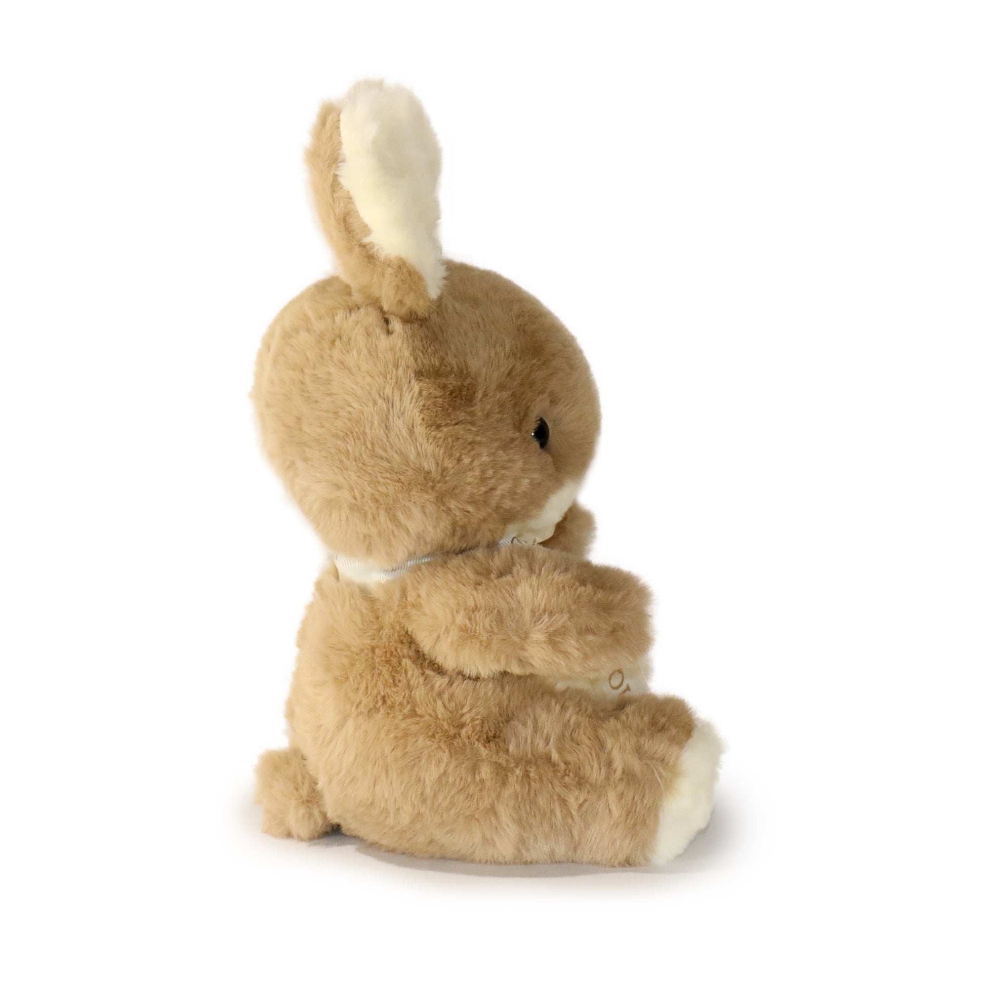 Bunnie