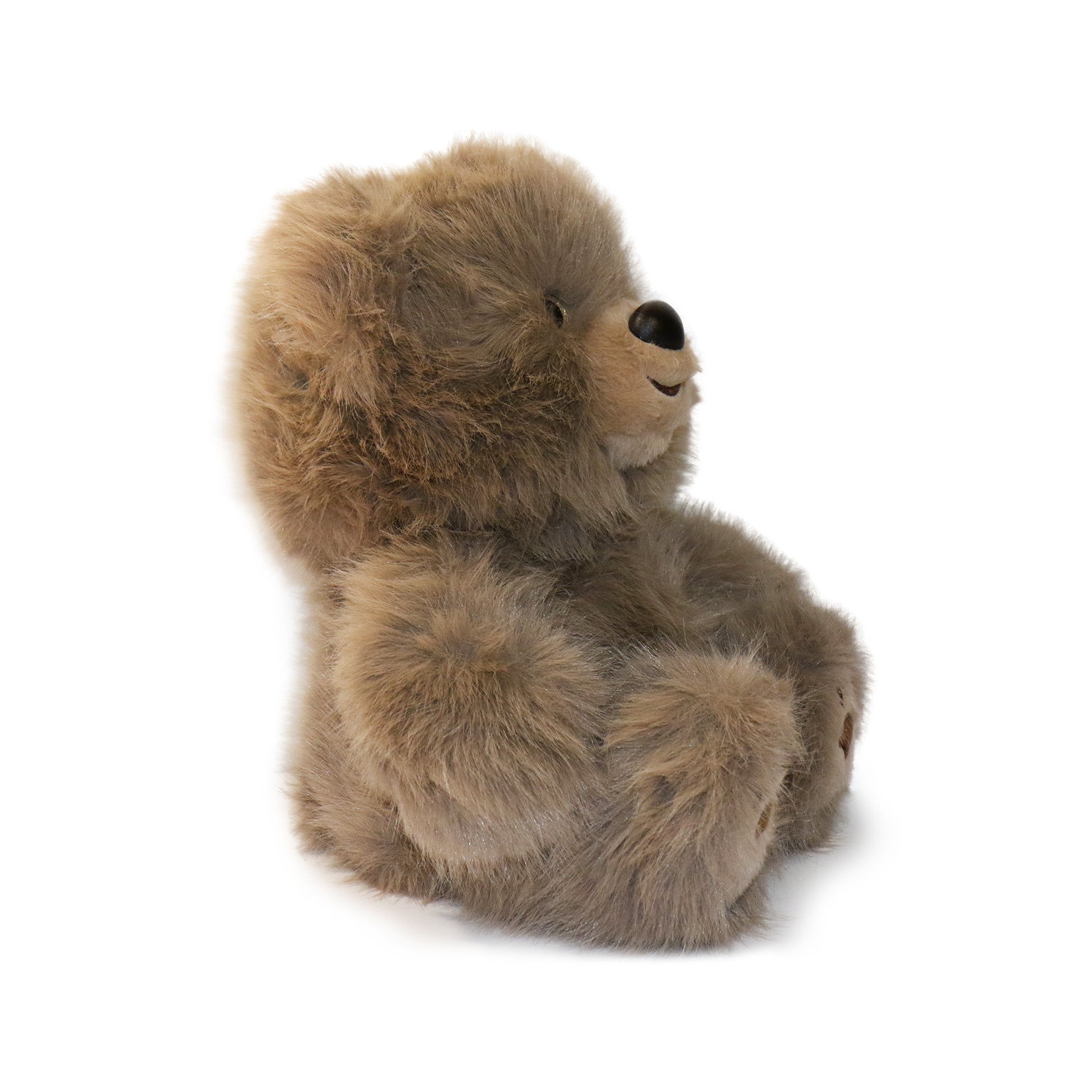 Honeywood Bear