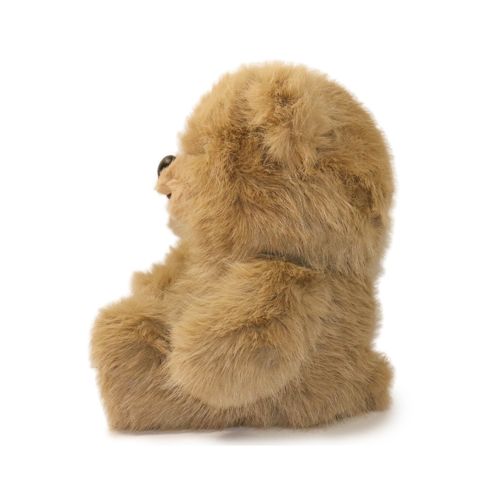 Honeywood Bear