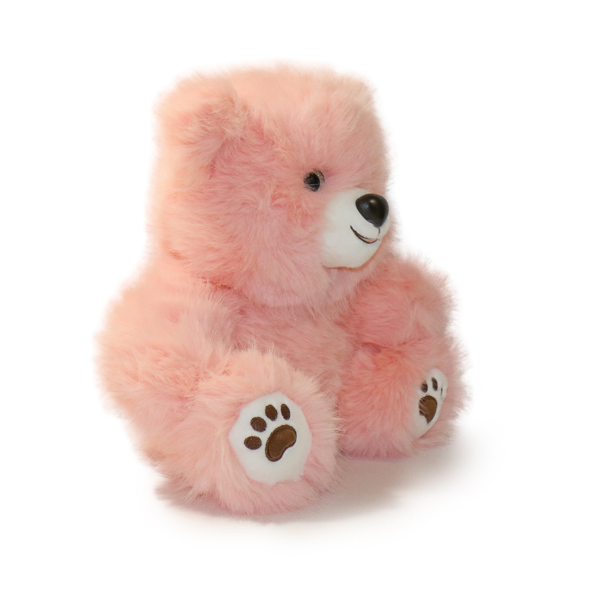 Honeywood Bear