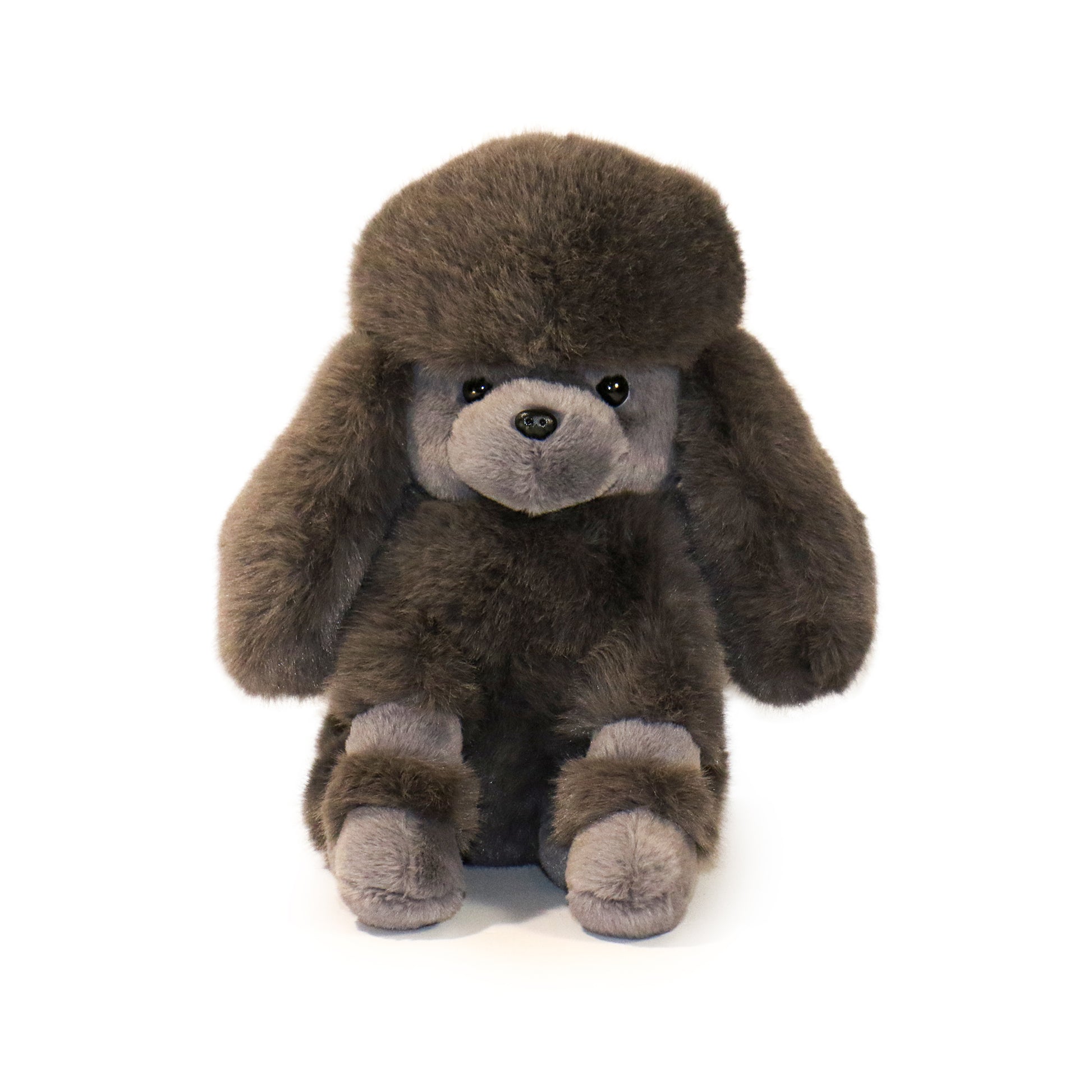 Pawla Poodle