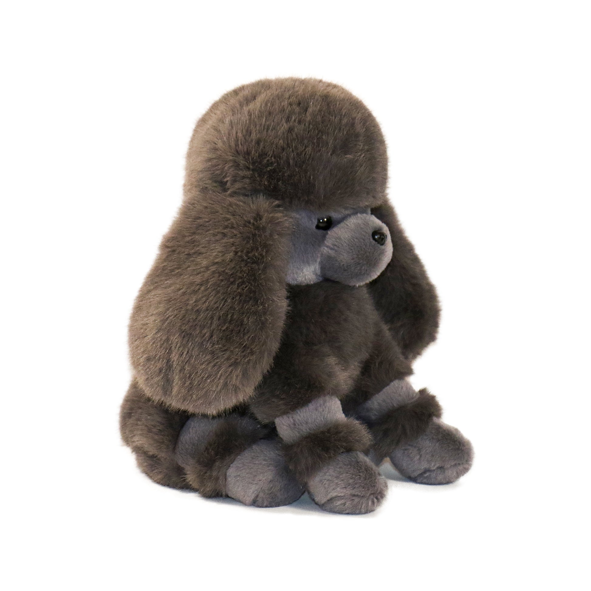 Pawla Poodle