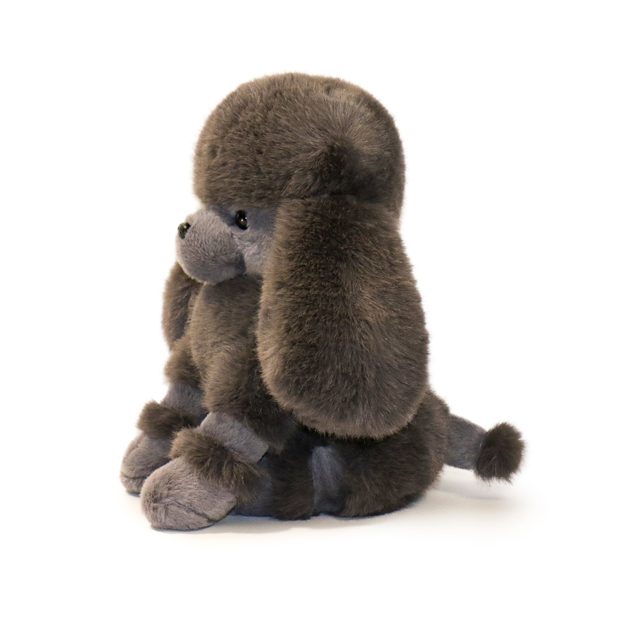 Pawla Poodle