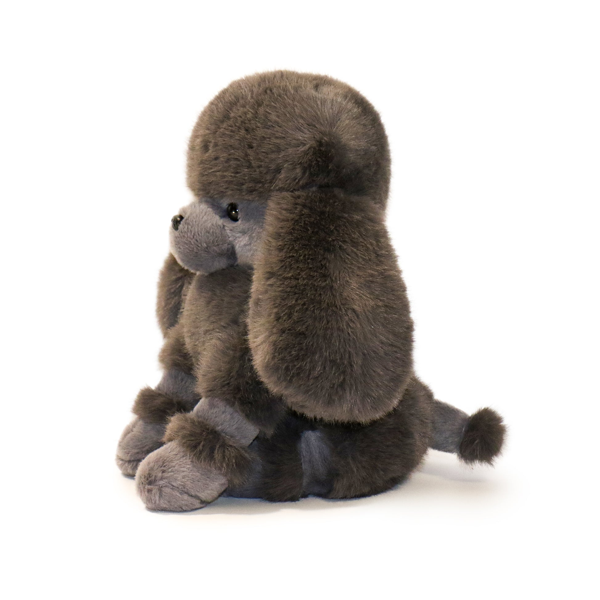 Pawla Poodle