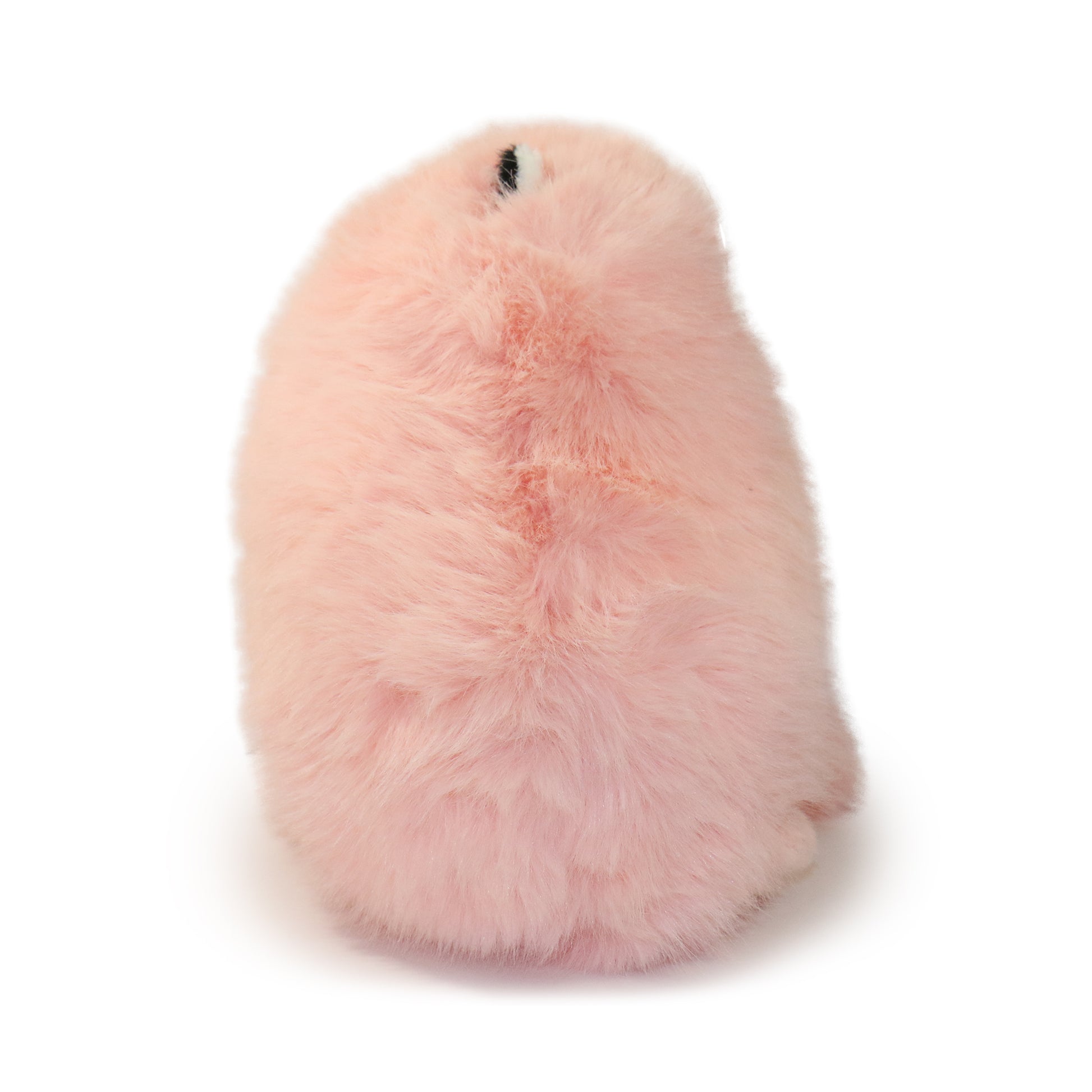 Marshmallow Cat