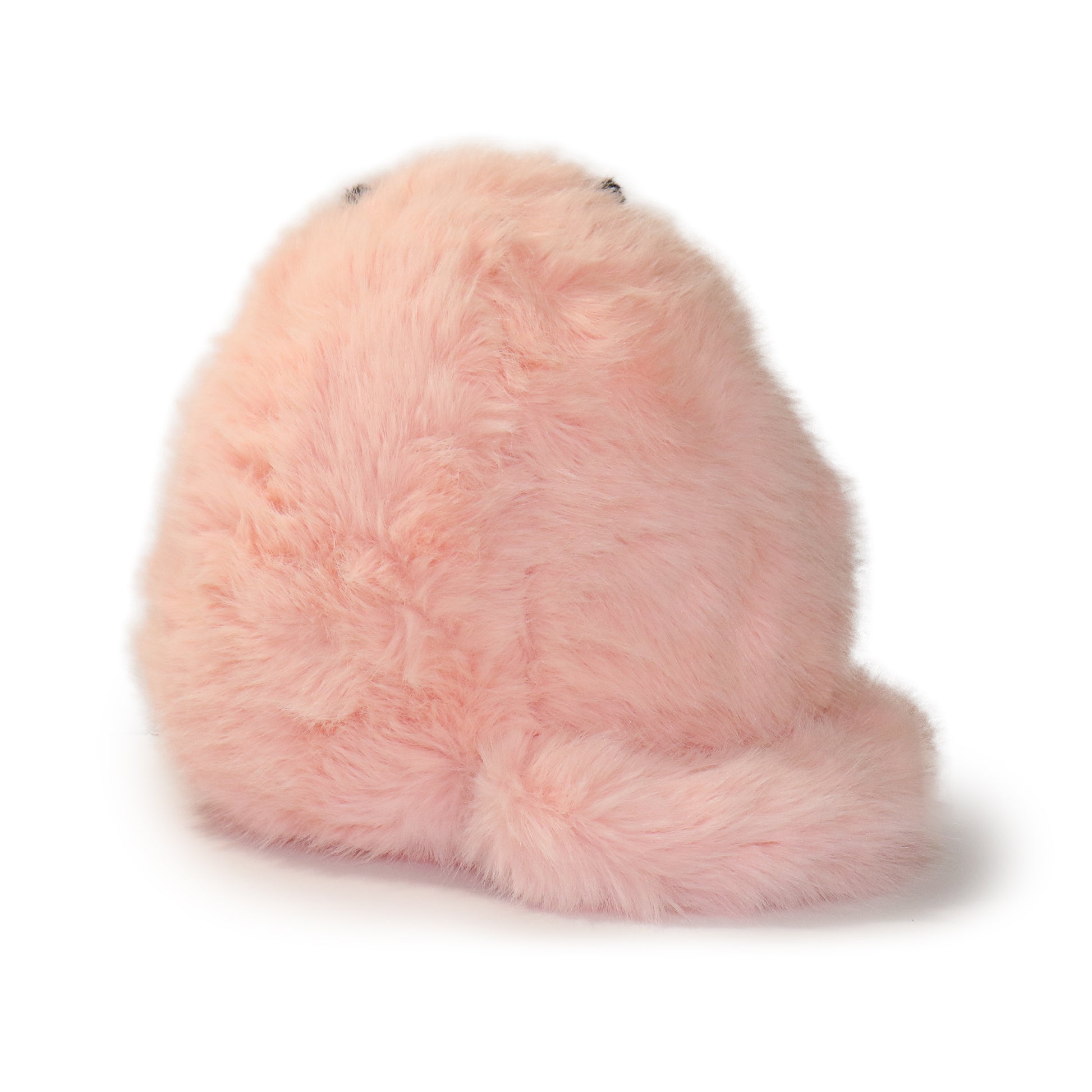 Marshmallow Cat