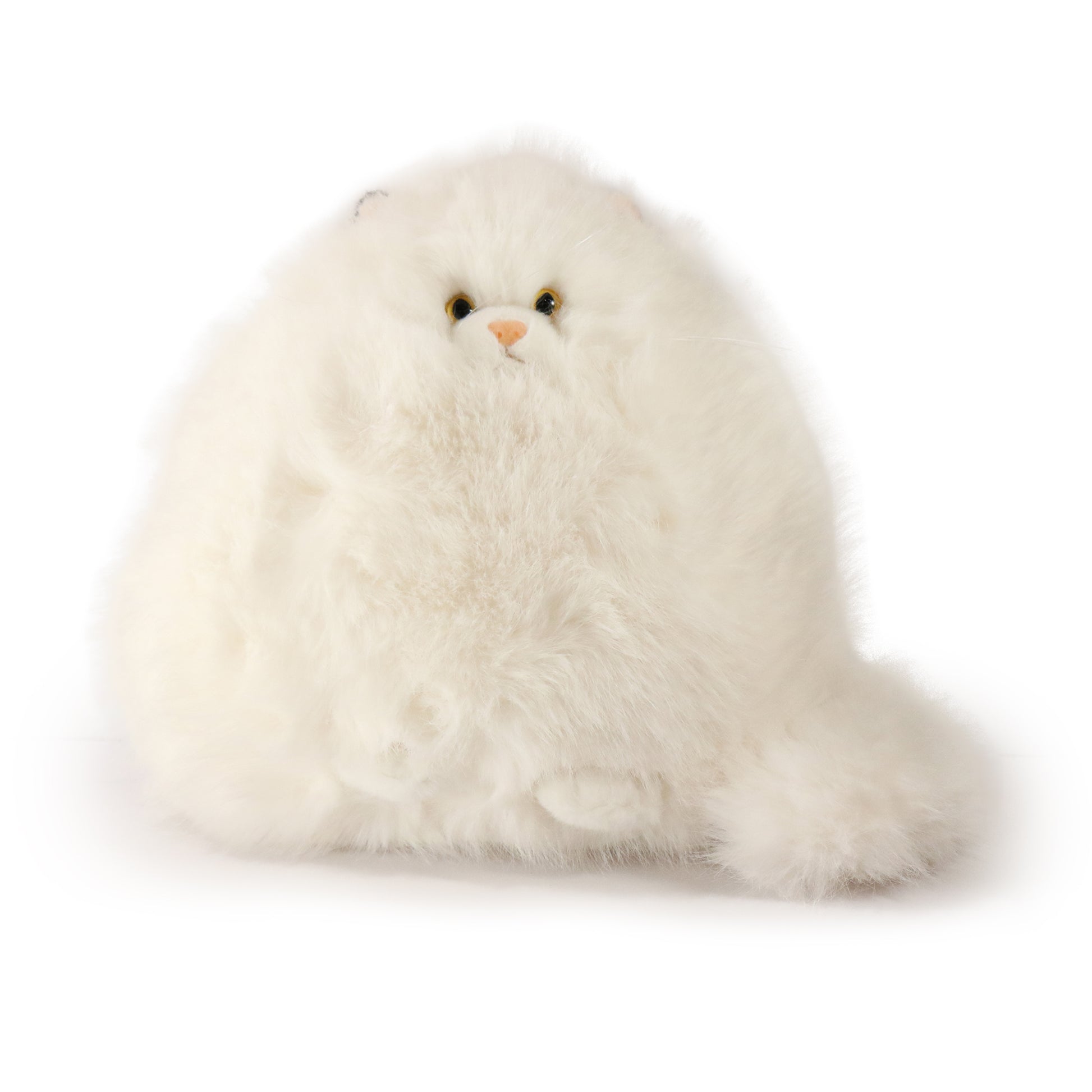 Marshmallow Cat