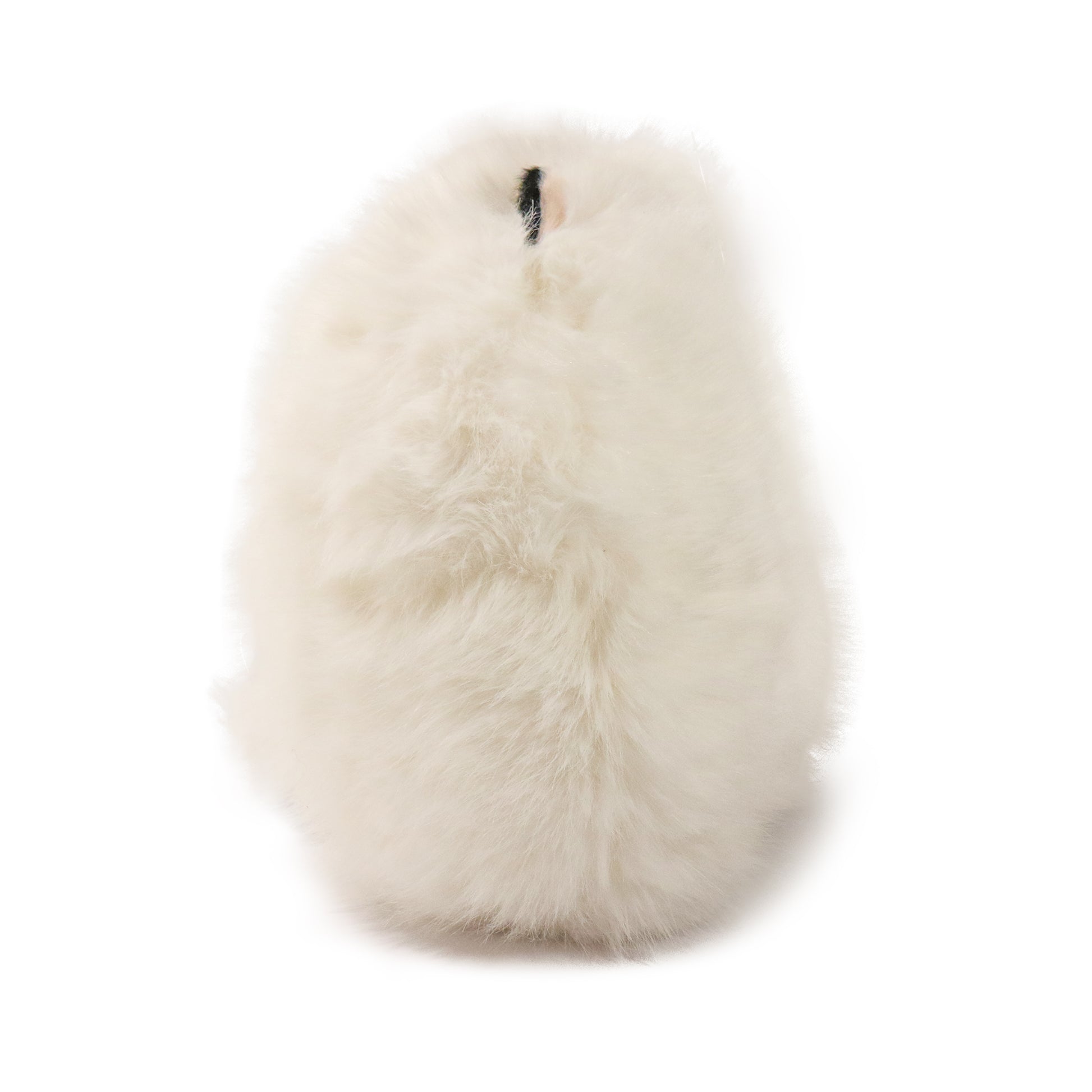 Marshmallow Cat