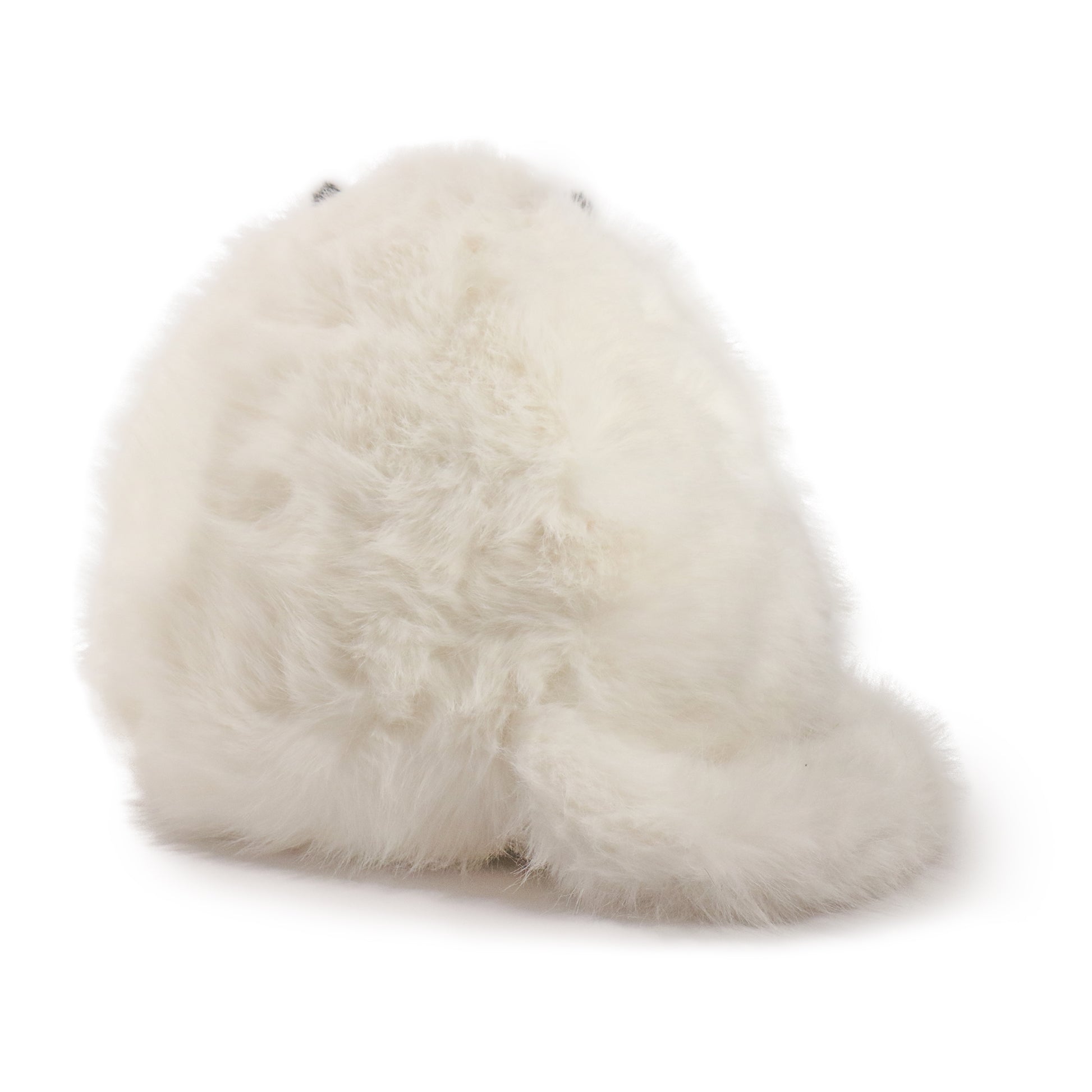 Marshmallow Cat