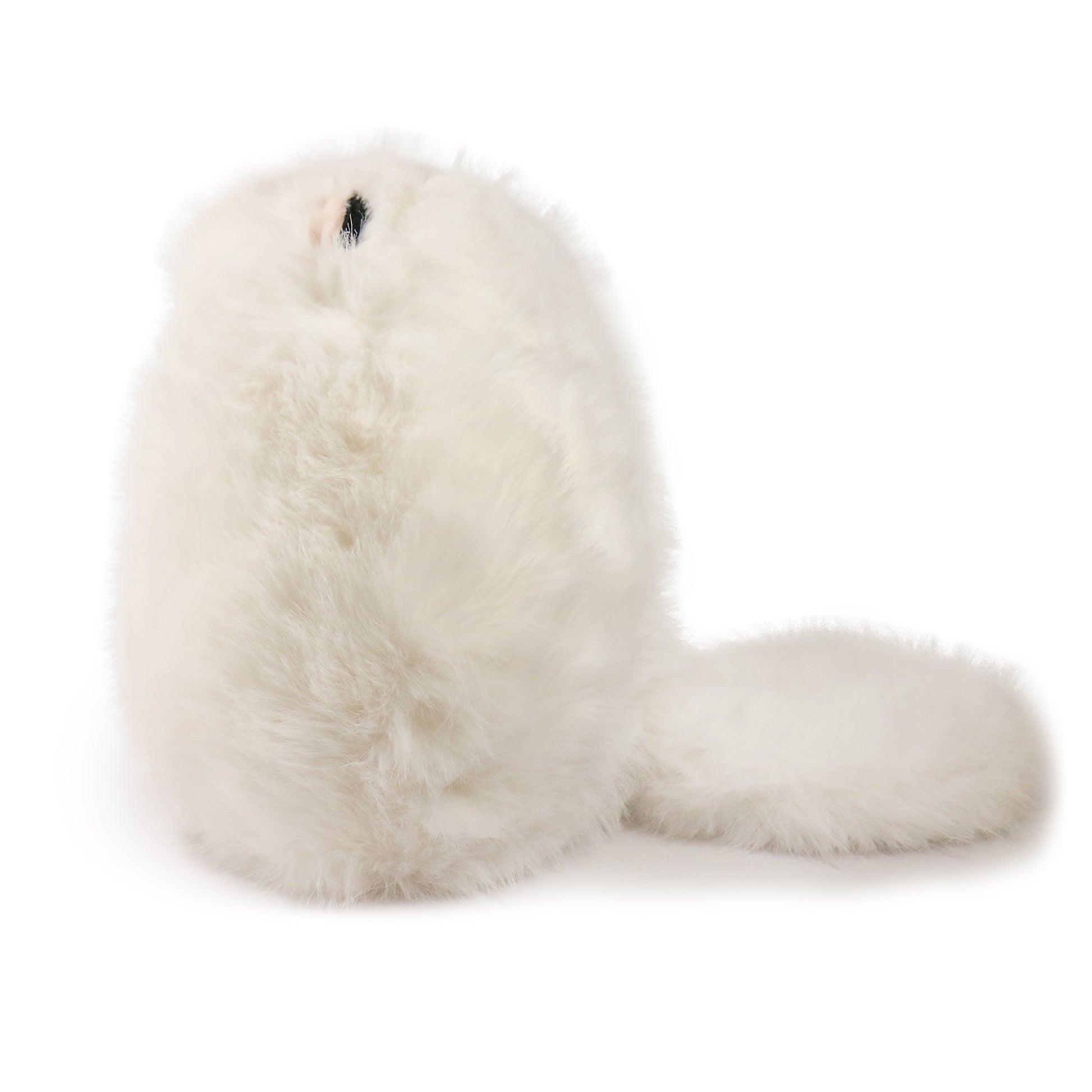 Marshmallow Cat