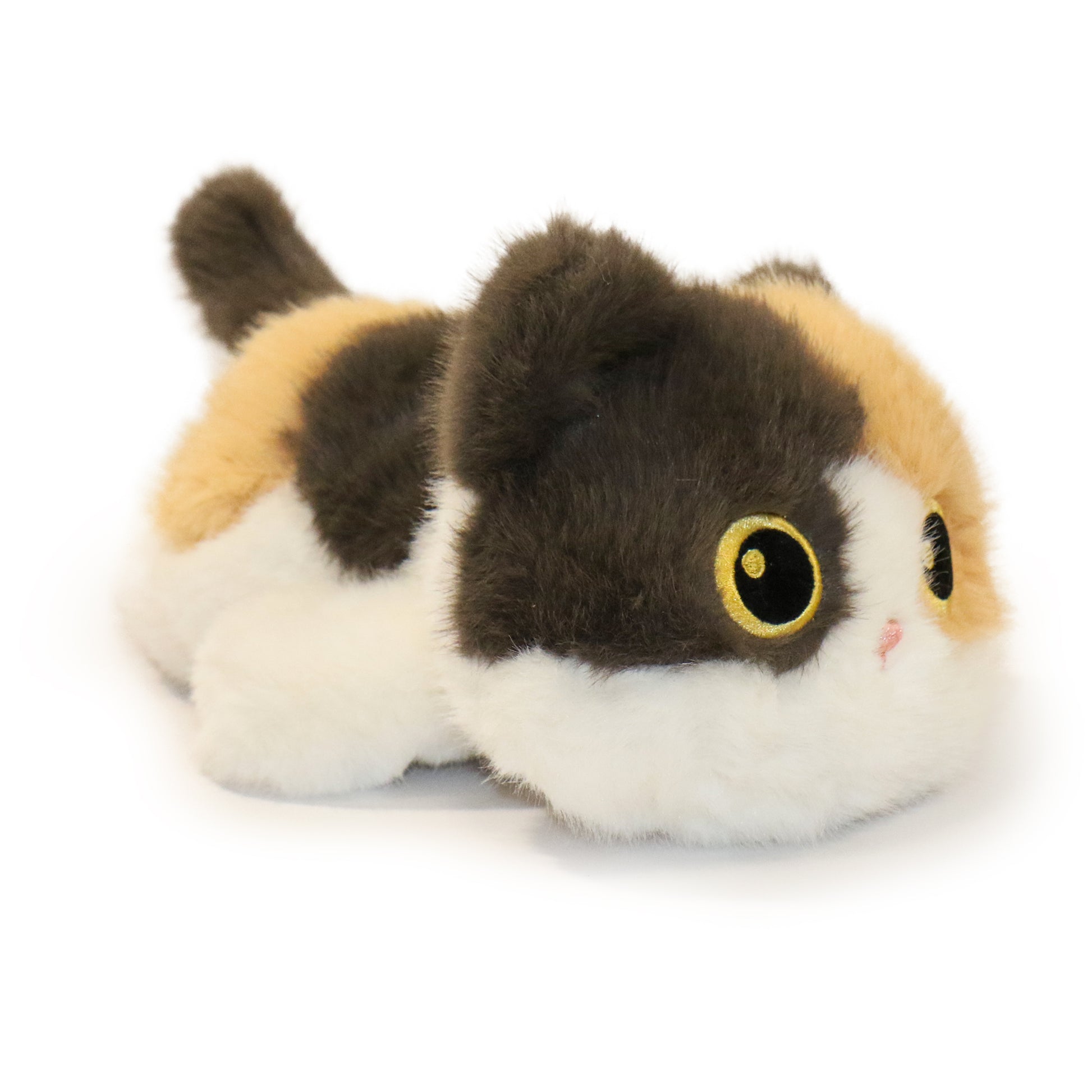 Patches Cat