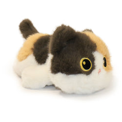 Image of Patches Cat