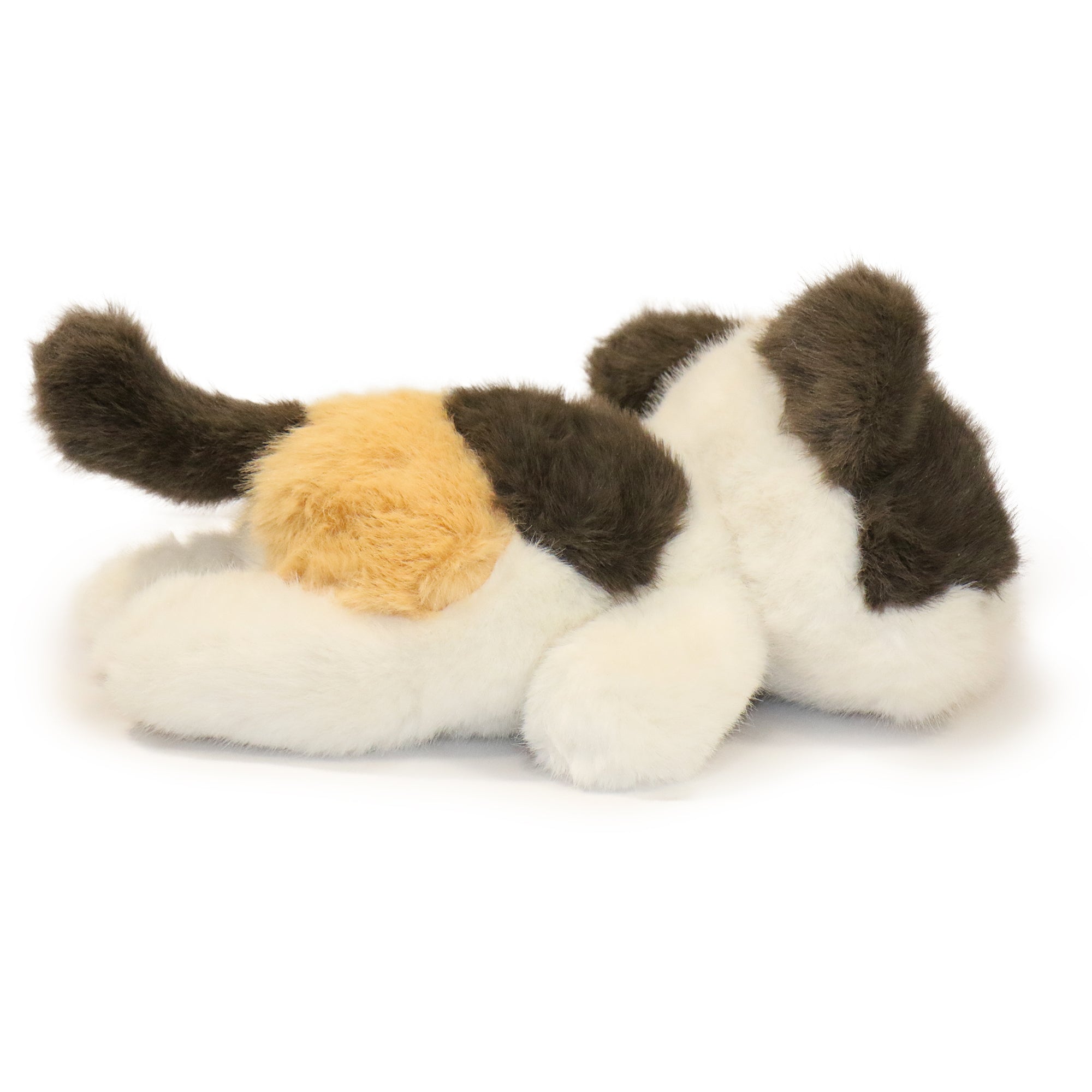Patches Cat
