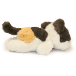 Image of Patches Cat