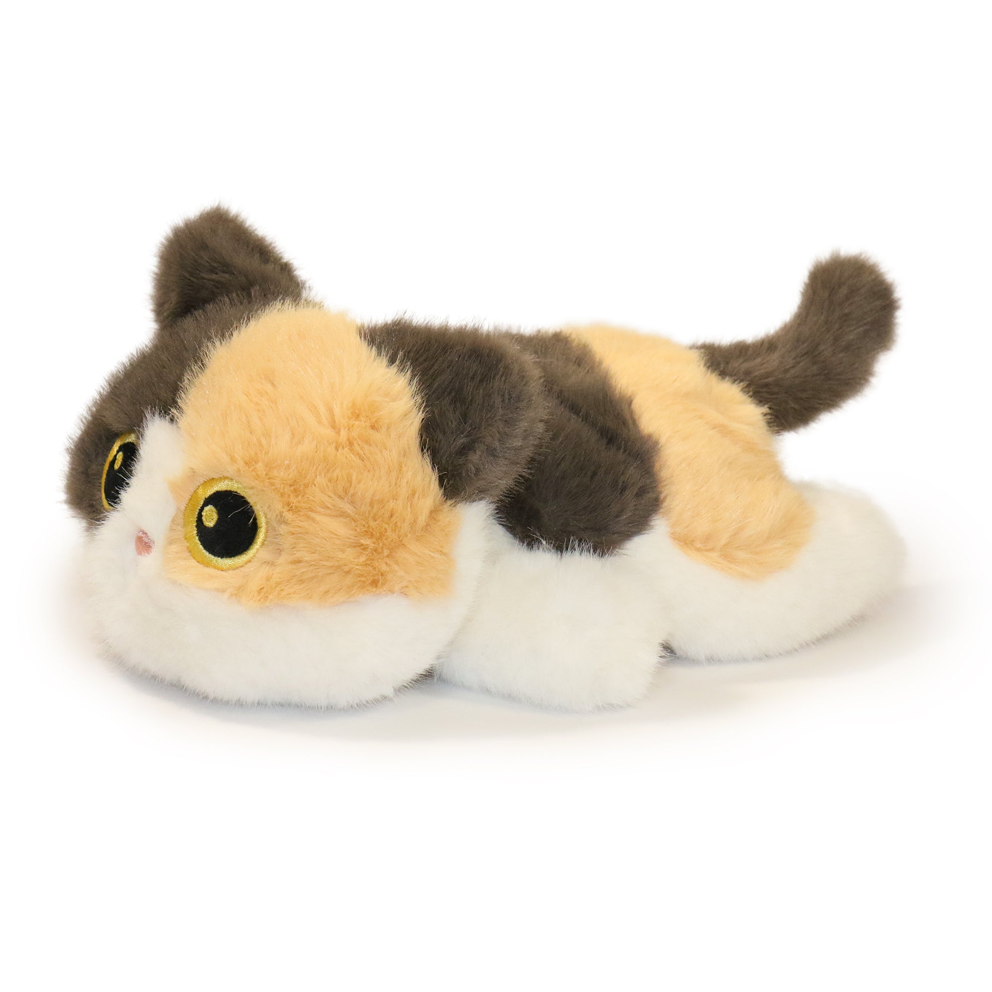 Patches Cat