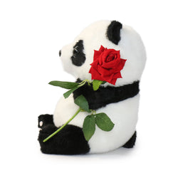 Image of Romeo Panda